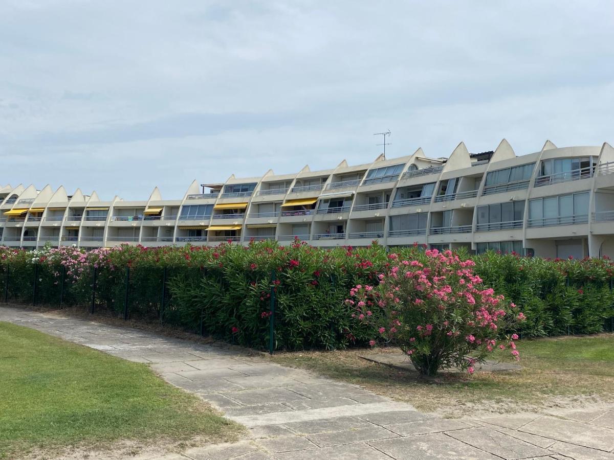 Port Camargue Vue