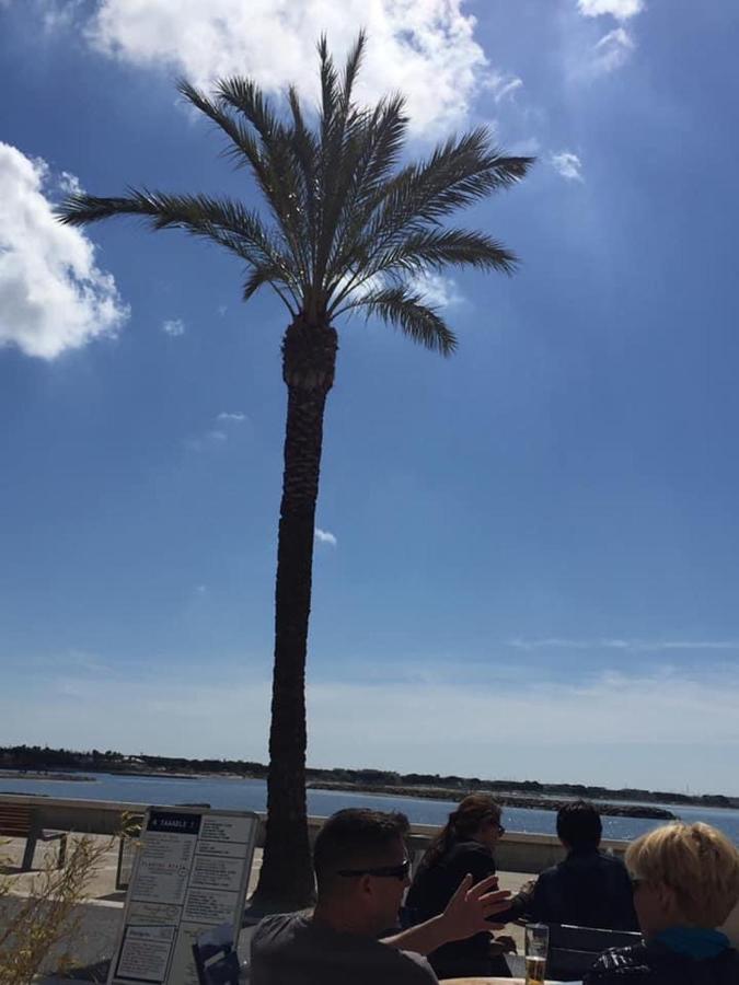 Port Camargue Vue
