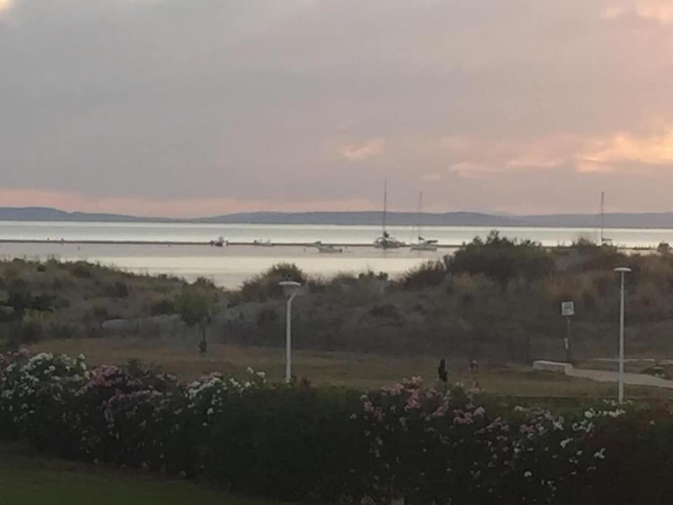 Port Camargue Vue